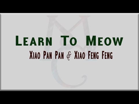 Learn To Meow by Xiao Pan Pan &amp; Xiao Feng Feng [Lyrics &amp; English Translation]
