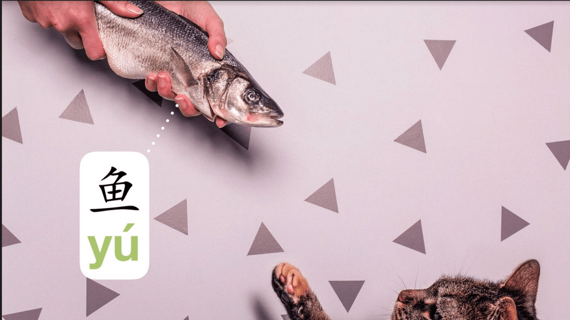 How to Pronounce Yu in Chinese Mandarin Blueprint