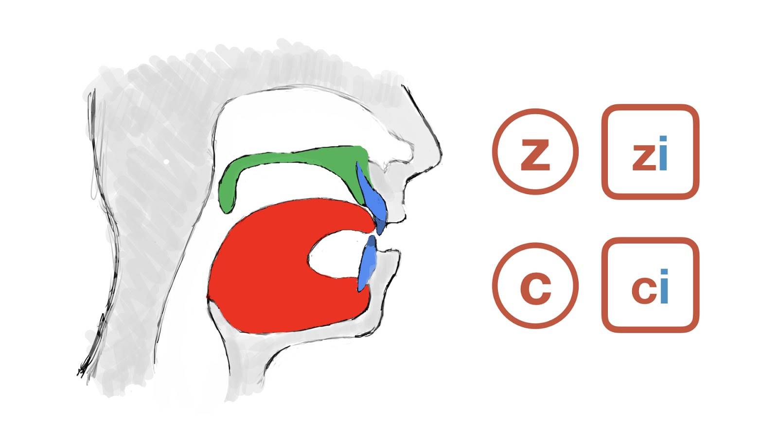 Chinese Syllable ZI, CI & SI