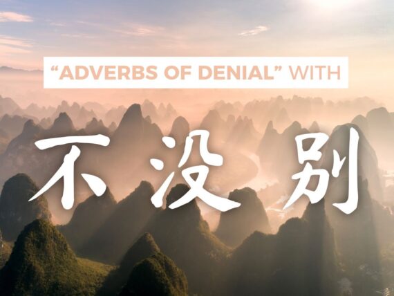Negative Adverbs in Chinese
