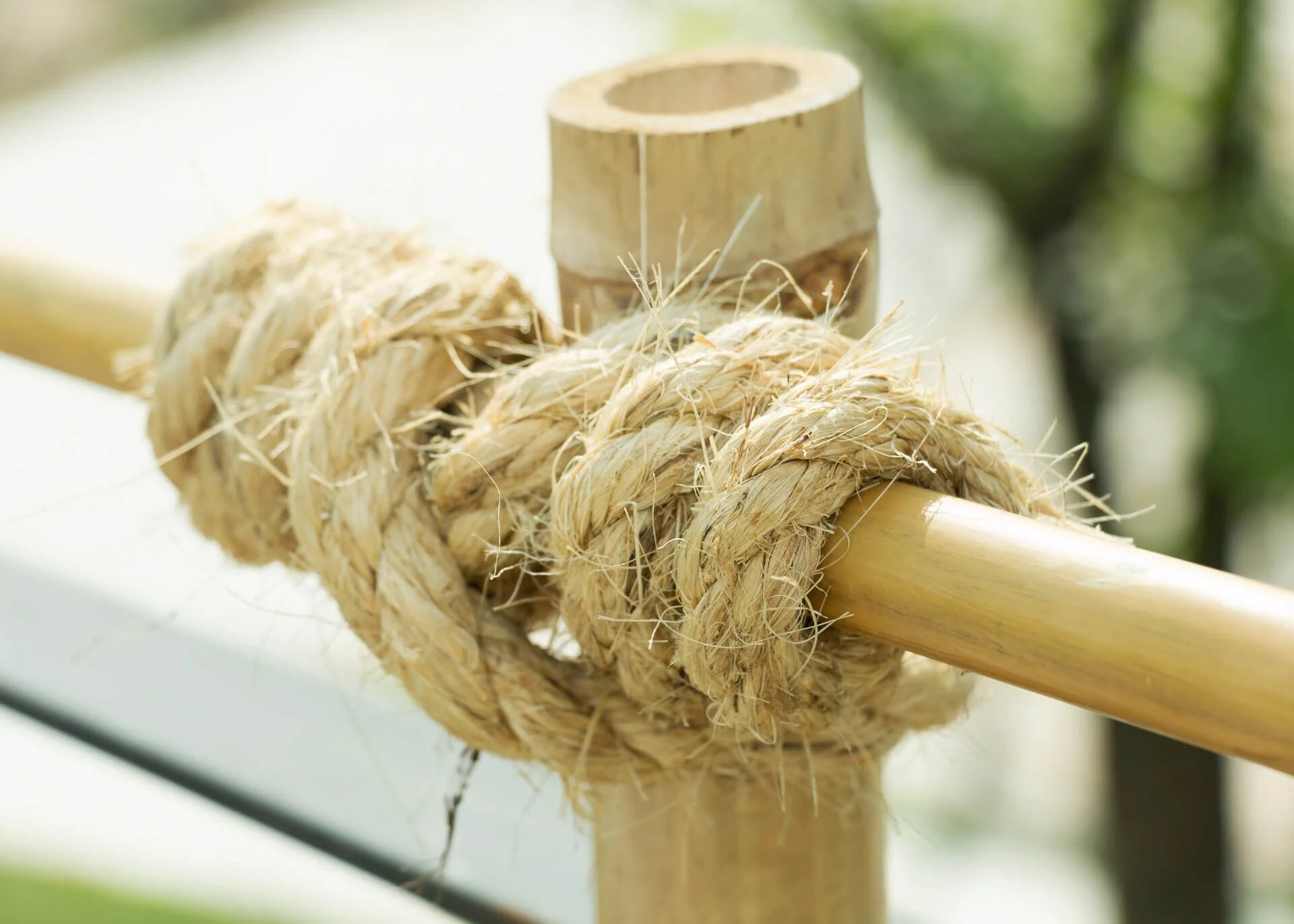 bamboo pole tied with a knot