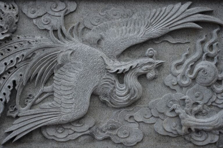 Phoenix Phoenix