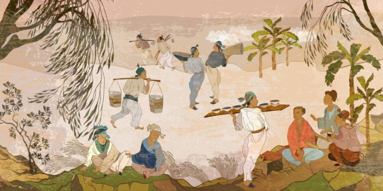 evolution of Chinese tea evolution of Chinese tea