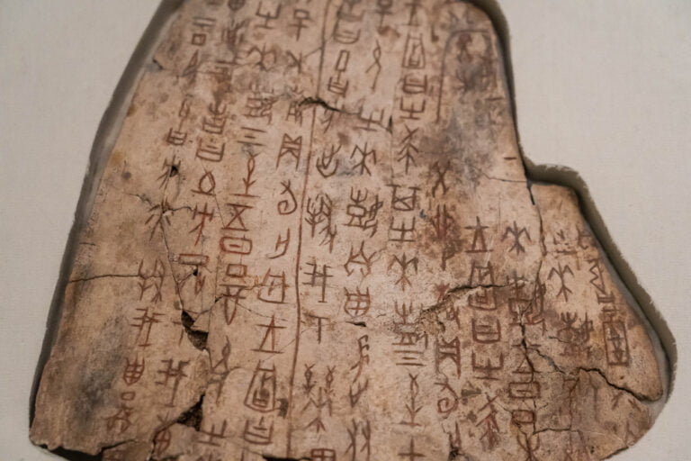 The roots of Chinese characters The roots of Chinese characters