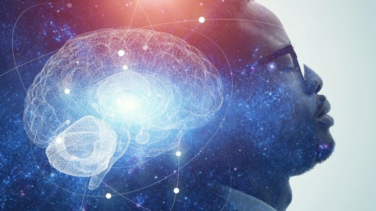 The science behind sleep learning The science behind sleep learning