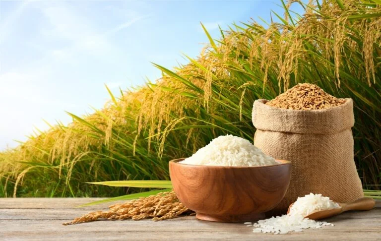Relationship with rice Relationship with rice