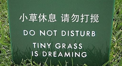 nature-gets-a-bit-too-dreamy