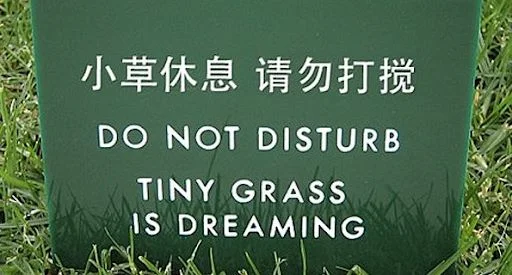 nature-gets-a-bit-too-dreamy