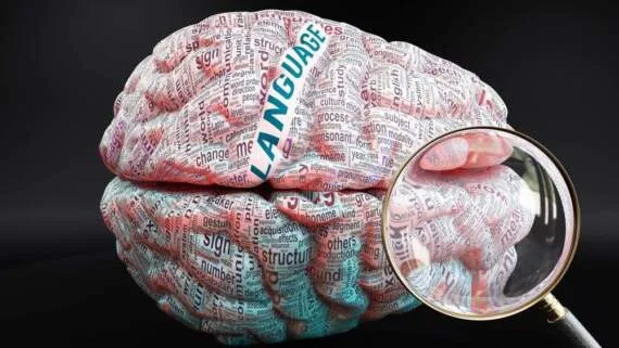 psychology of language learning