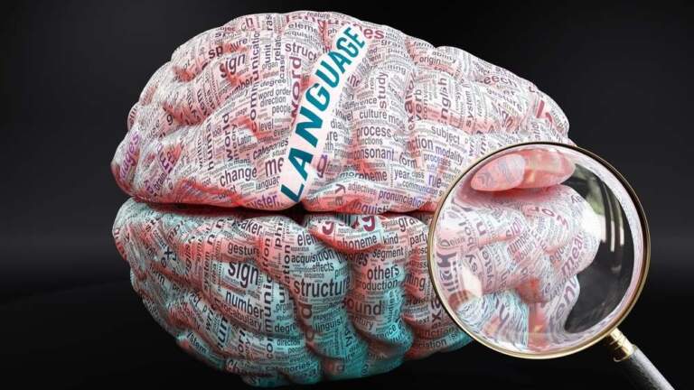 psychology of language learning