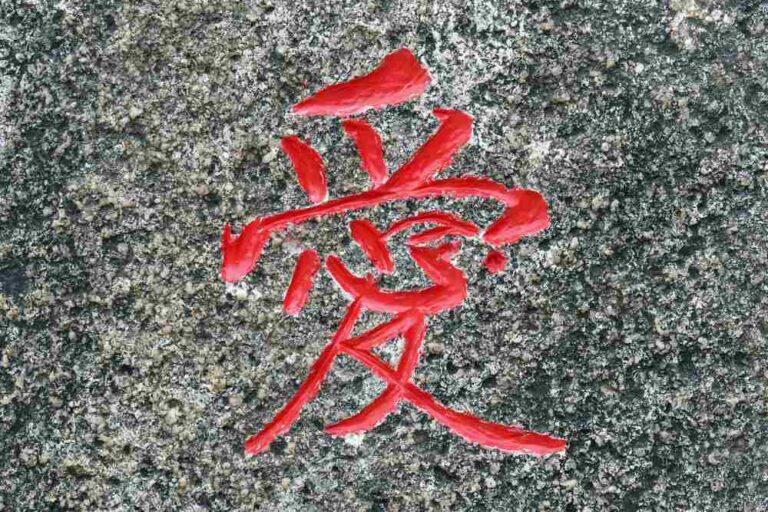 secrets of the Mandarin character