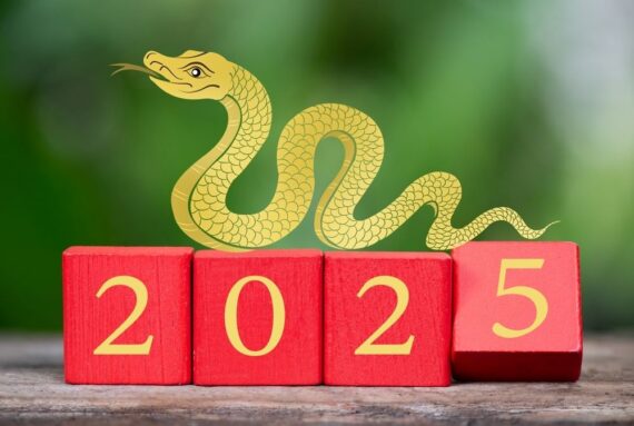 2025 chinese new year animal