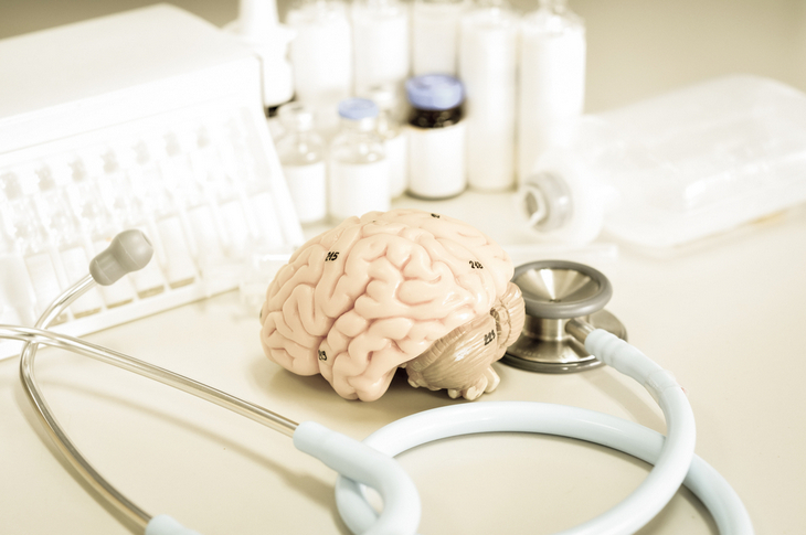 human-brain-model-old-color-style