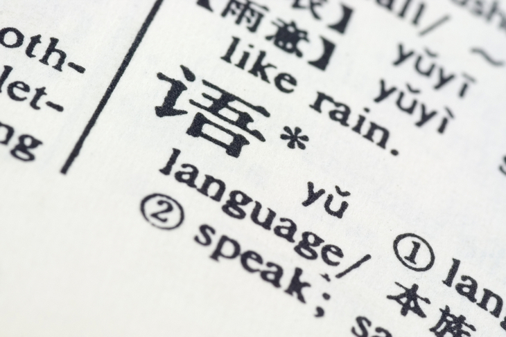 language-written-chinese-chinese-english-translation-dictionary