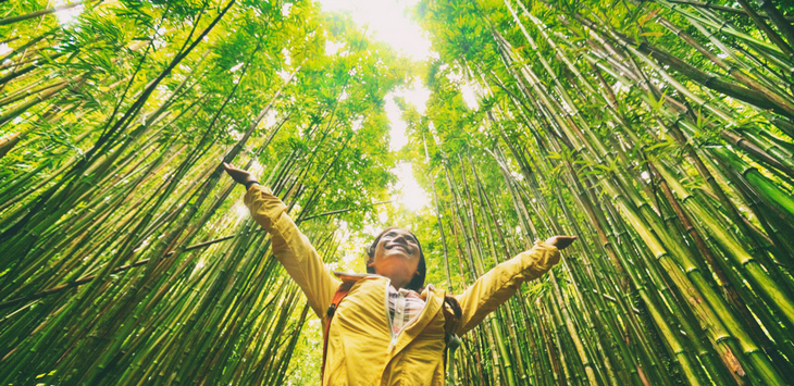 sustainable-ecofriendly-travel-tourist-hiker-walking-in-natural-bamboo-forest