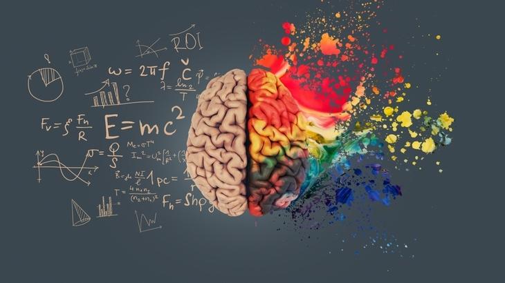 left-right-human-brain